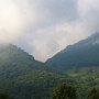 Cay_2010.018