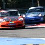 IMG_6974