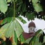 P1150470